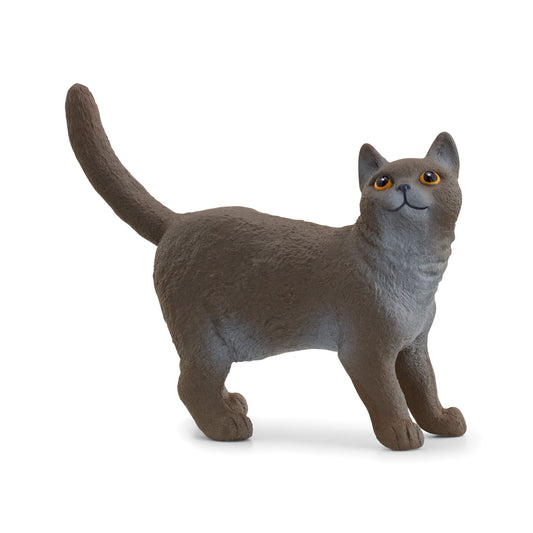 Schleich 13973 Britische Kurzhaar Katze