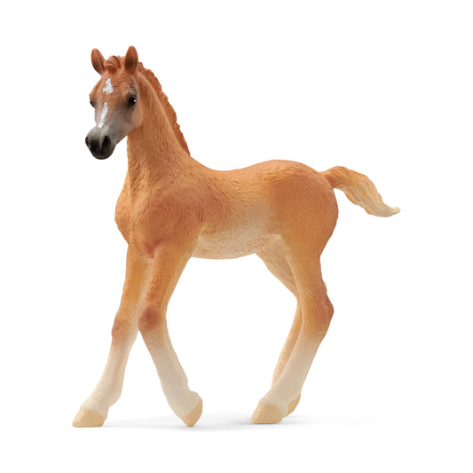 Schleich 13984 Araber Fohlen