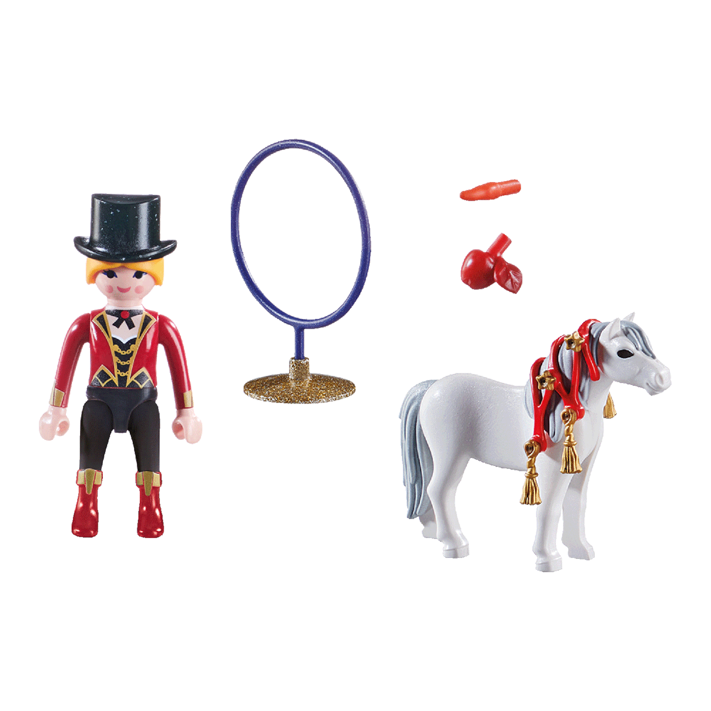 Playmobil 70874 Pferdedressur